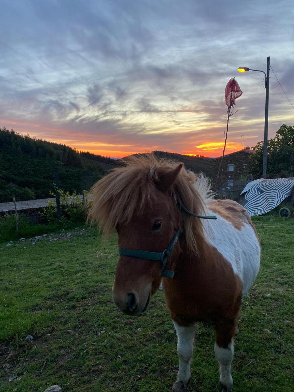 Casinha Por Do Sol Villa Aldeia das Dez Buitenkant foto